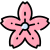 Kirschblüte icon