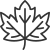 Maple icon