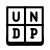 UNDP icon