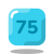 (75) icon