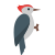 pájaro carpintero icon