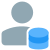 Data storage by a user for the company server icon