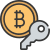 Cryptocurrency icon