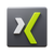 Xing icon