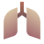 Lungs icon