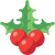 Berry icon