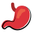 Stomach icon