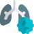 Virus affecting the lungs of a patient with breathlessness icon