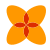 Geometric Flowers icon