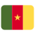 Cameroun icon