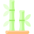 Bambou icon