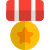 Star circle medal for the marine corps officers icon