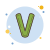 V icon