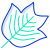 Tulip Tree Leaf icon