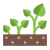 成長する植物 icon