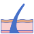 Epidermis icon