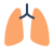 Lungs icon