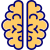 brain icon