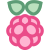 Raspberry Pi icon