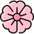 桜 icon