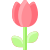 Tulipán icon