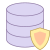 Protección de datos icon