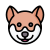 Shiba Inu icon