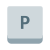 P Key icon