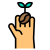 Coffee Seed icon