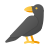 corvo de corpo inteiro icon