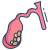 Gallbladder Disease icon