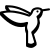 Hummingbird icon