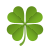 Four Leaf Clover icon