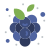 Grapes icon