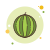 整个西瓜 icon