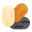 semi di chia icon