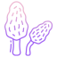 Morel Mushrooms icon