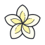 Spa Flower icon