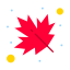 Maple Leaf icon