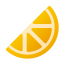 Citrus icon