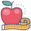 Apfel icon