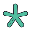 Asterisk icon