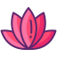 Lotus Flower icon