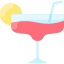 Cocktail icon