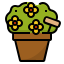 Flower Pot icon