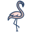 Flamant rose icon