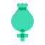 Papoula do ópio icon