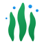 Algas icon