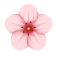 flor de cerezo icon