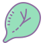 spinaci icon